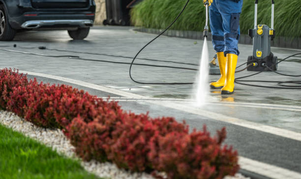 Best Driveway Pressure Washing  in Parkville, MD